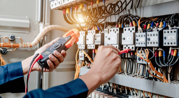 Best Electric Panel Repair  in La Huerta, NM